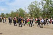в галерею »