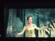 в галерею »