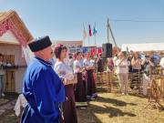 в галерею »