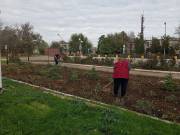 в галерею »